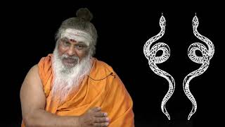 சர்ப தோஷ நிவர்த்தி வழிபாடு-மந்திரத்துடன்