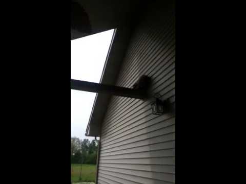 Raccoon Poo Raccoon Poo