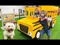 Smart Bim Bim Drives a Bus to take Baby Monkey Obi to school and play with his dog in the garden