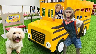 Smart Bim Bim Drives a Bus to take Baby Monkey Obi to school and play with his dog in the garden