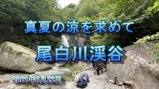 【山梨　登山】山梨県の尾白川渓谷に行きました。尾白川は名水で有名です。渓谷は涼しく快適でした。