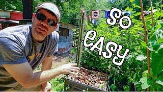 How To Compost (SUPER DUPER EASY WAY) COMPOSTING 101