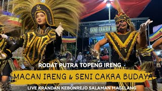 TOPENG IRENG RODAT PUTRA MACAN IRENG & SENI CAKRA BUDAYA LIVE KRANDAN KEBONREJO SALAMAN MAGELANG