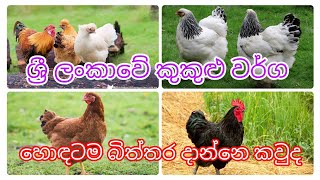 ශ්‍රී ලංකාවේ කුකුළු වර්ග හදුනා ගමු... OL සහ AL Agriculture 🤠🤠🤠