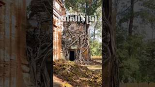 ប្រាសាទប្រាំ | Pram Temple #templeruins #ancientcity #khmerempire  #visitpreahvihear #cambodia