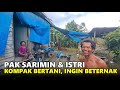 CERITA TUJUH TAHUN PAK SARIMIN ASAL TRENGGALEK DI LOKASI TRANSMIGRASI SP4, TANJUNG PALAS HILIR