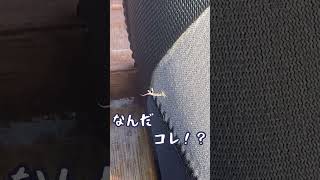 未知の生物と遭遇したカヤックフィッシング！