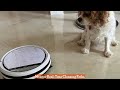 ilife v3x robot vacuum and mop cleaner vacuum and mop in one go