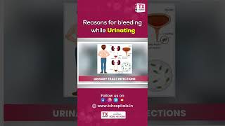 Reasons for bleeding while urinating || Dr.S.Yashwanth || TX Hospitals