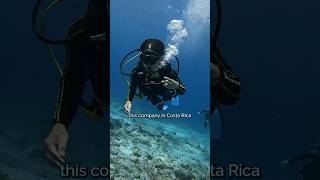 I Went Scuba Diving Without Being Certified