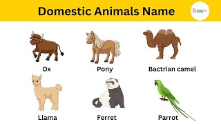 DOMESTIC ANIMALS🦙| Learn Domestic Animals Names For Children, Kids and Toddlers #viral #animals