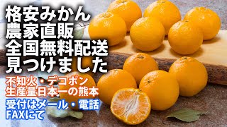 格安ミカン購入は生産農家直販と全国送料無料の配送🚙