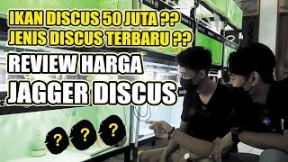 IKAN DISCUS TERMAHAL 50 JUTA ???? REVIEW HARGA IKAN DISCUS TERBARU DI JAGGER DISCUS