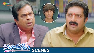 Prakash Raj And Brahmanandam Super Scene | Kotha Bangaru Lokam Movie Best Scenes | Varun Sandesh