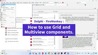 Delphi - FireMonkey: DB application, How to use Grid and Multiview components