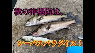 秋の沖堤防はシーバスパラダイス♪【もっち釣動組合♯８５】