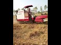 dhana kata machine paddy cutting machine