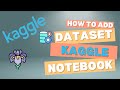 How to Add Kaggle Dataset to Kaggle Notebook | Load & Use Datasets in Kaggle Kernel | Iris data