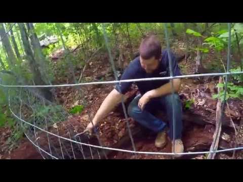 Building Cheap and Simple Dog Fence Building Cheap and Simple Dog Fence