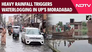 UP News | Heavy Rainfall Triggers Waterlogging In UP's Moradabad; People Evacuate Houses