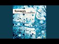 Synapsis