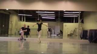 Learning Triple Pirouettes en Pointe