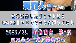 【大阪お魚調査】太刀魚編　DAISOロッドで狙ってみた。お手軽手ぶらフィッシング👍堺釣人🐟