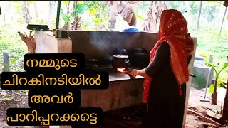 ഇപ്പോ നമ്മുടെ ചിറകിനടിയിൽ അവർ പാറിപ്പറന്ന് നടക്കട്ടെ🥰Kerala village life style vlog/haifa kitchen