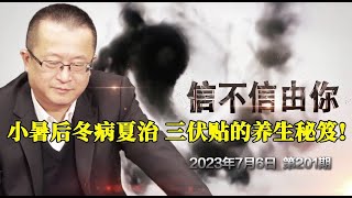 小暑后冬病夏治 三伏贴的养生秘笈！《信不信由你》2023年7月13日 第201期