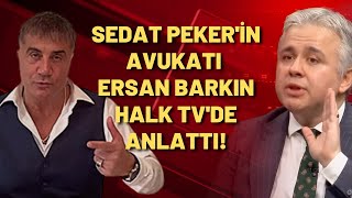 Sedat Peker'in avukatı Ersan Barkın Halk TV'de anlattı!