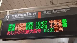 あしかが大藤大船号の表示(2024/04/20)