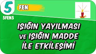 Işığın Yayılması ve Işığın Madde İle Etkileşimi 🟩 5FEN5 #2025