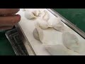 automatic gyoza forming machine 全自動型餃子成形機