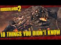 10 SECRET Things You Didn't Know About In Borderlands 2!