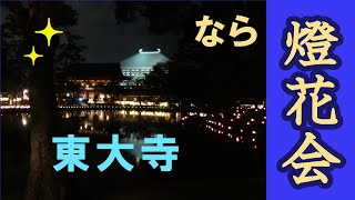 夏の風物詩【なら燈花会　東大寺】奈良県奈良市