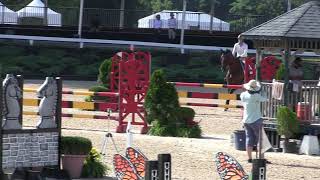 Video of GUSTAV 303 ridden by MAGDALENE STEWART from ShowNet!