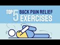 5 Effective Back Pain Relief Exercises | Strengthen Your Lower Back | Medilab Zone