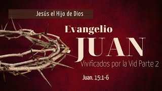 Vivificados por la vid, Parte 2 (Juan 15:1-6)