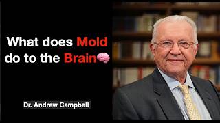 What does mold do to the brain 🧠 | Dr Andrew Campbell