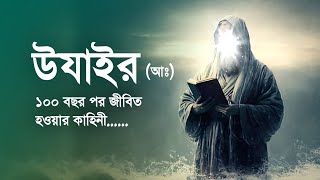 ১০০ বছর মৃত থাকার পর জীবিত হওয়ার কাহিনী || Story of Prophet Uzair || Islamic Story || iRC