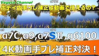 SONY α7C,α9,α7SⅡ,α6100 4K動画手ブレ補正対決！（4K）