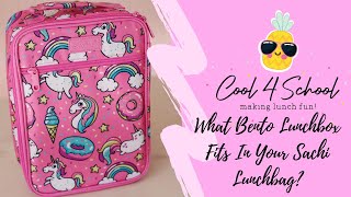 What Bento Lunchbox Fits In Sachi Insulated Lunchbag?