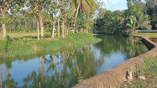 ഈ പാടം നിങ്ങൾക്ക് ഇഷ്ടമായോ