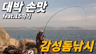 [빡꾼] 잡어보다 감성돔이 더 많은 섬! \