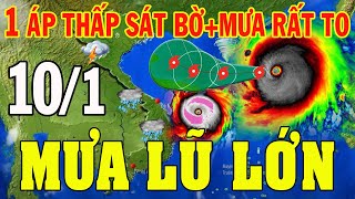 Dự báo thời tiết hôm nay và ngày mai 10/1/2025 | dự báo thời tiết 3 ngày tới