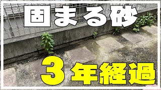 【固まる砂 その後】3年後は雑草生えまくりなのか？！コケ・ひび割れ・水はけ現状を確認してみたよ。DIY カインズホーム 固まる土 庭 除草 水で固まるマジカルサンド