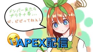 [APEXランク] プラチナ帯…  エイム雑魚通りまーす#apex #apexランク #初見歓迎