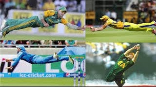 Top 10 Catches in Cricket History