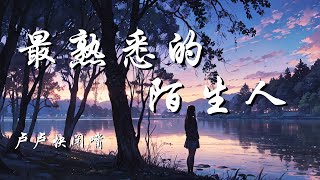 最熟悉的陌生人 - 卢卢快闭嘴 (原唱 : 萧亚轩)【只怪我们爱得那么汹涌 爱得那么深 于是梦醒了 搁浅了 沉默了 挥手了 却回不了神】【动态歌词 Lyrics】【拼音歌词】【抖音歌曲】