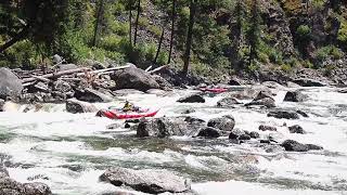 Ladle Rapid Selway River @ 2.4'